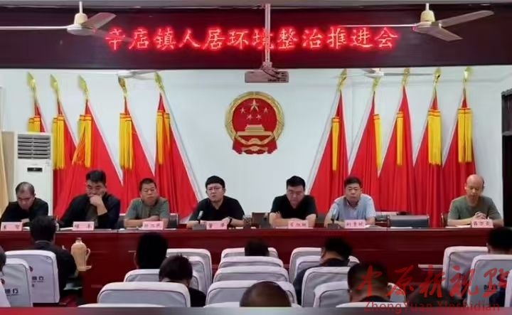 葉縣辛店鎮： 開展人居環境大整治